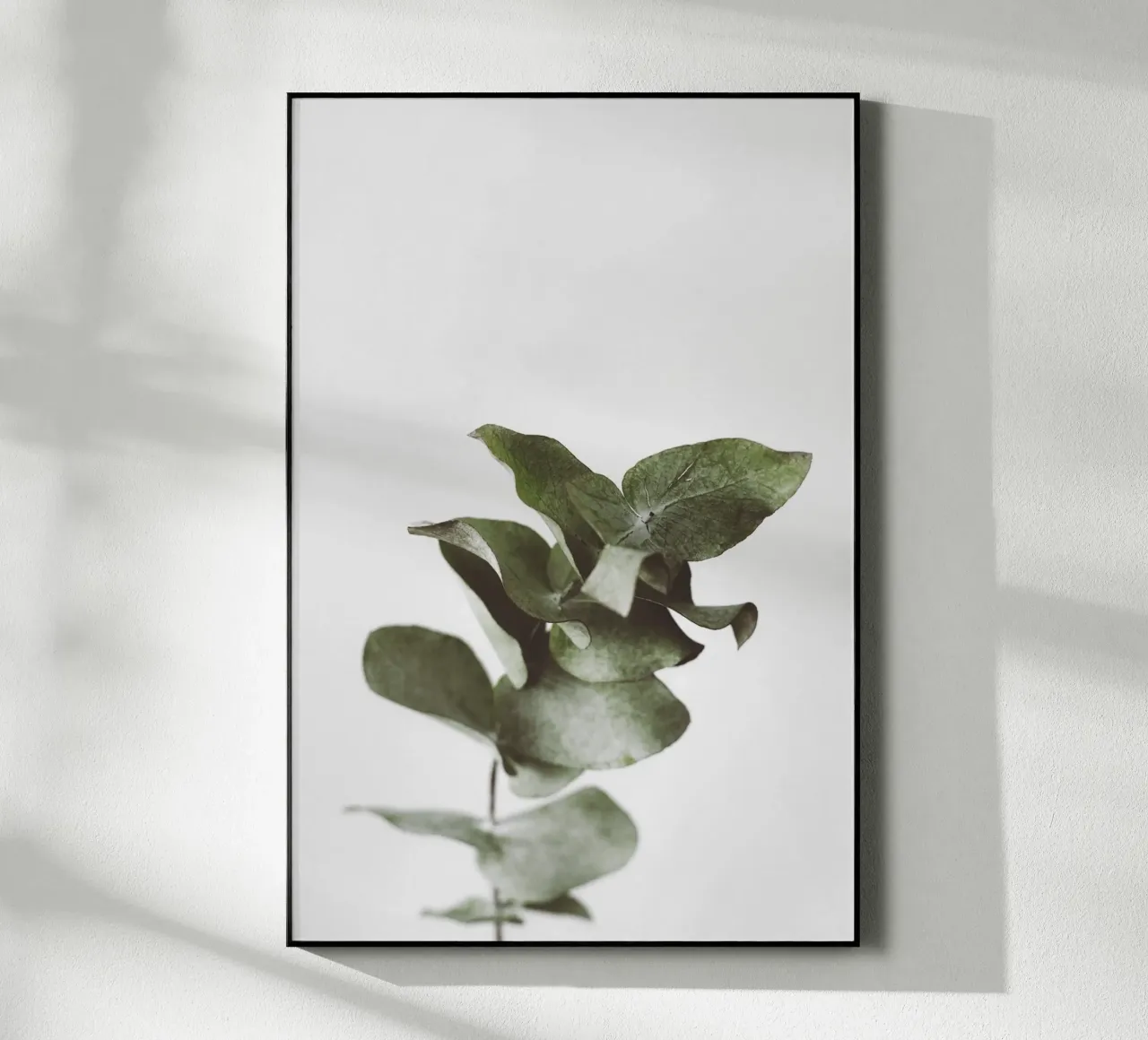 Eucalyptus Pt. II plexiglass da selfieswithlove
