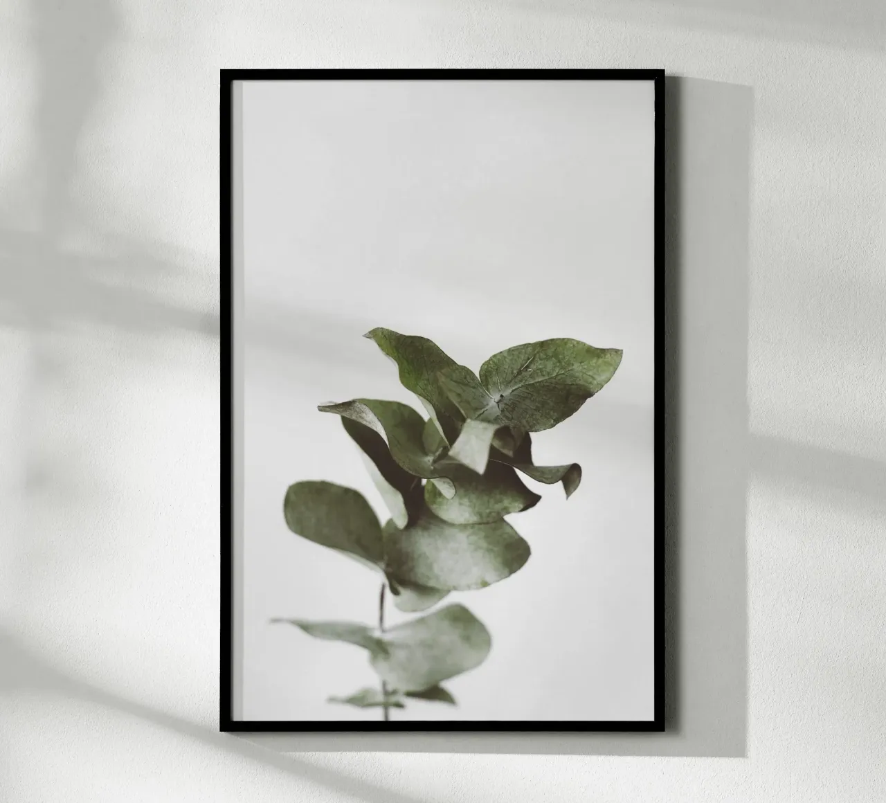 Eucalyptus Pt. II carta hahnemühle da selfieswithlove