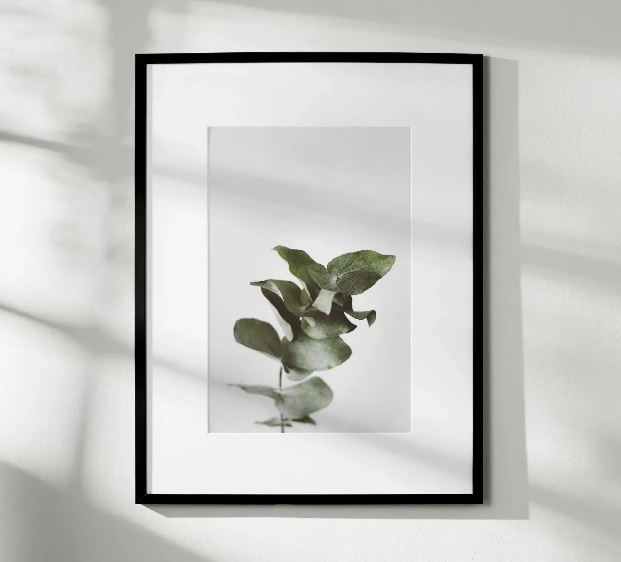 Eucalyptus Pt. II carta hahnemühle da selfieswithlove