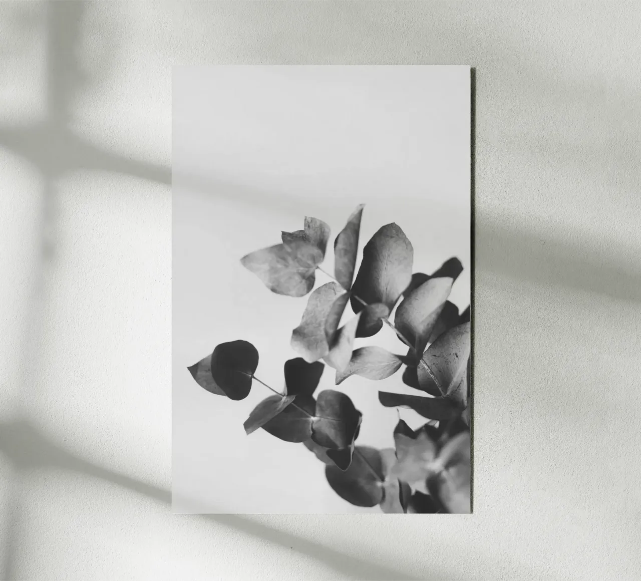 Eucalyptus Pt. IV alluminio dibond da selfieswithlove