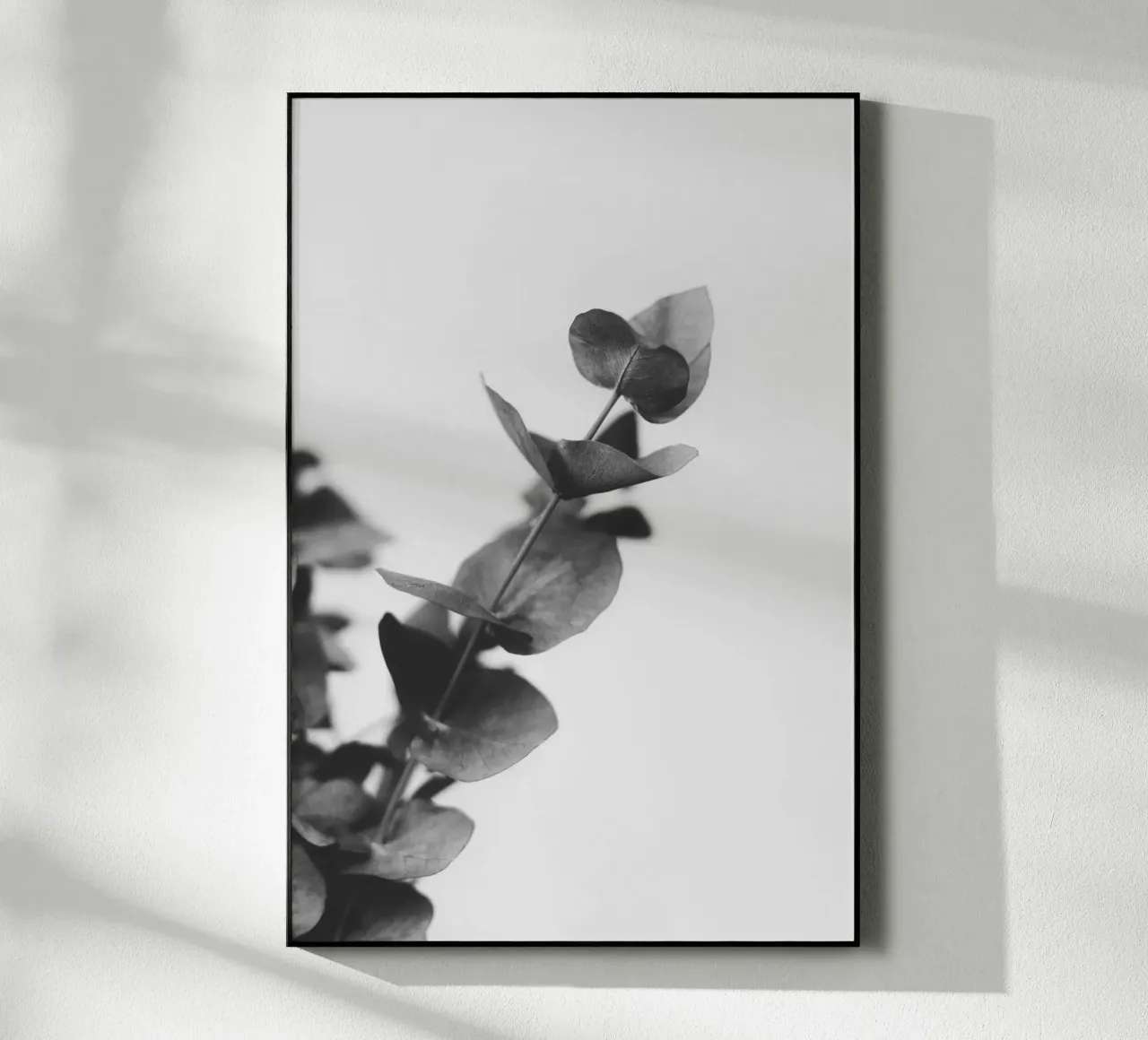 Eucalyptus Pt. V plexiglass da selfieswithlove
