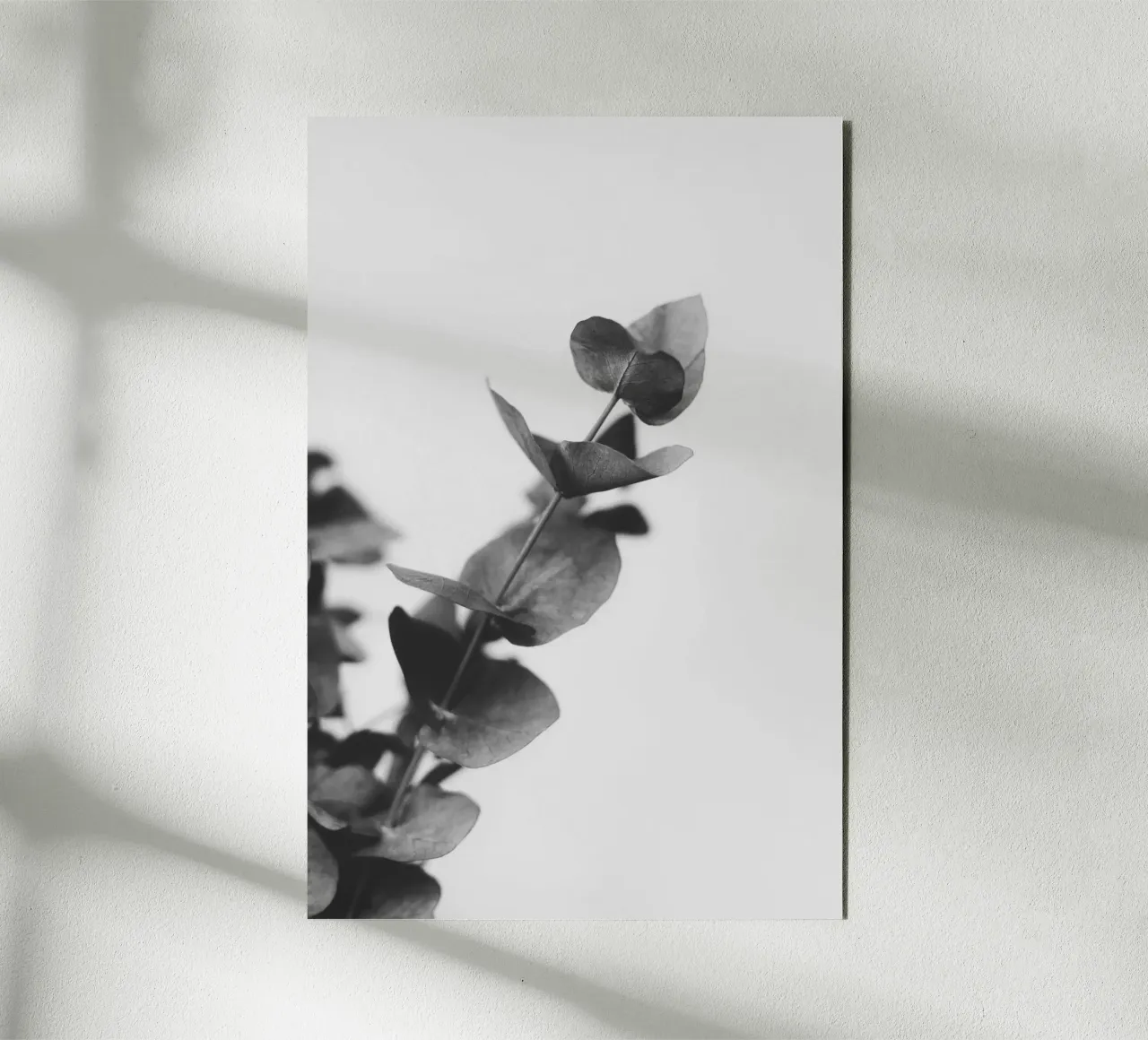 Eucalyptus Pt. V alluminio dibond da selfieswithlove