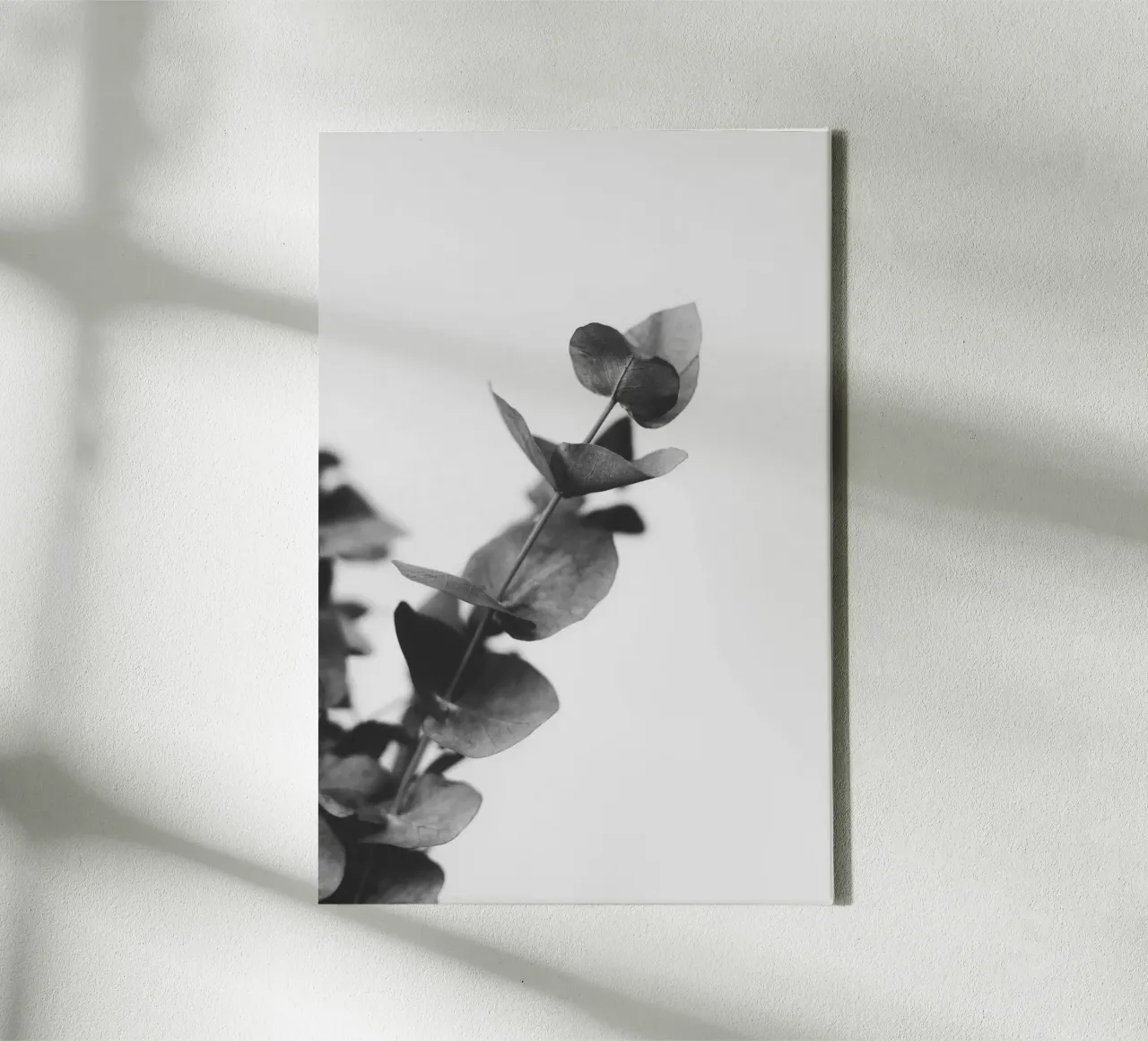 Eucalyptus Pt. V tela con Cornice a cassetta da selfieswithlove