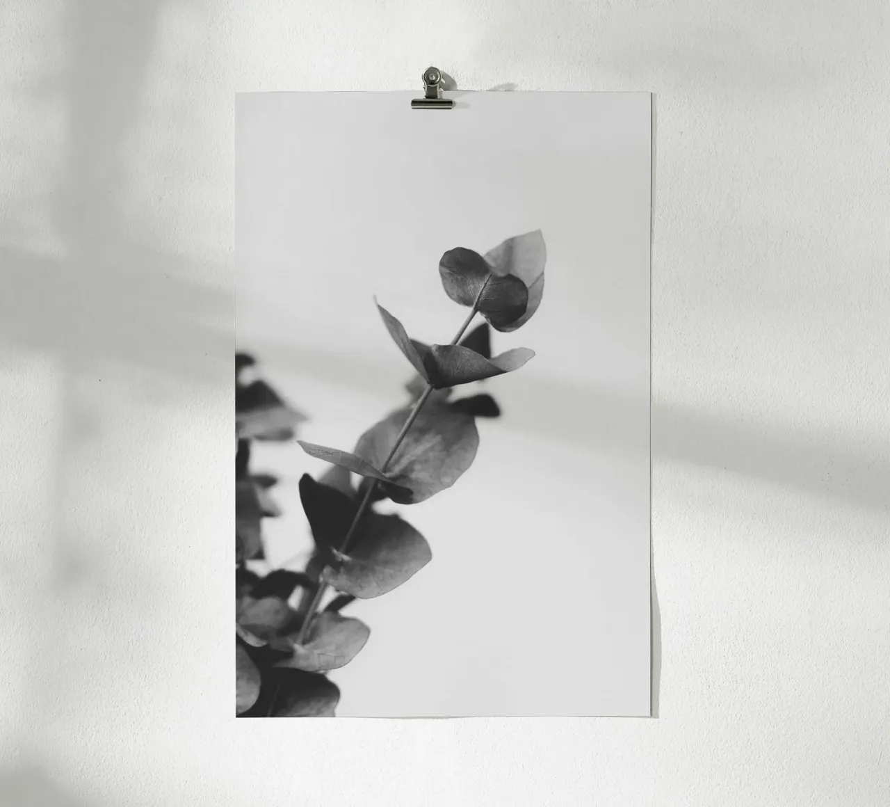 Eucalyptus Pt. V carta hahnemühle da selfieswithlove