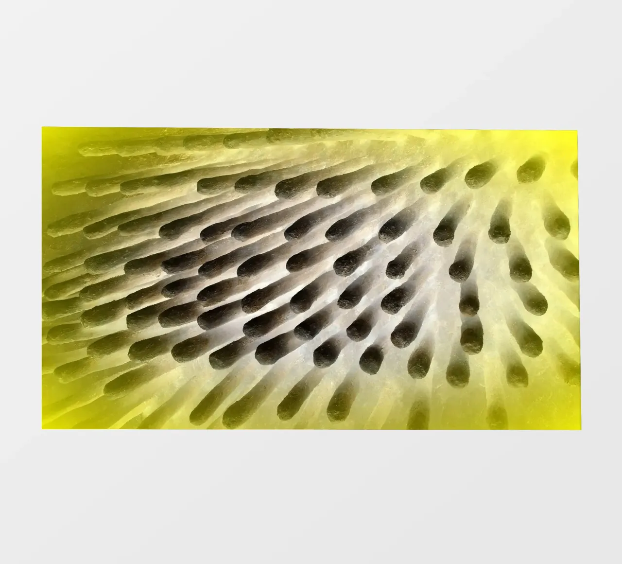 Nero e giallo pellicola backlit da Massimo Frascogna