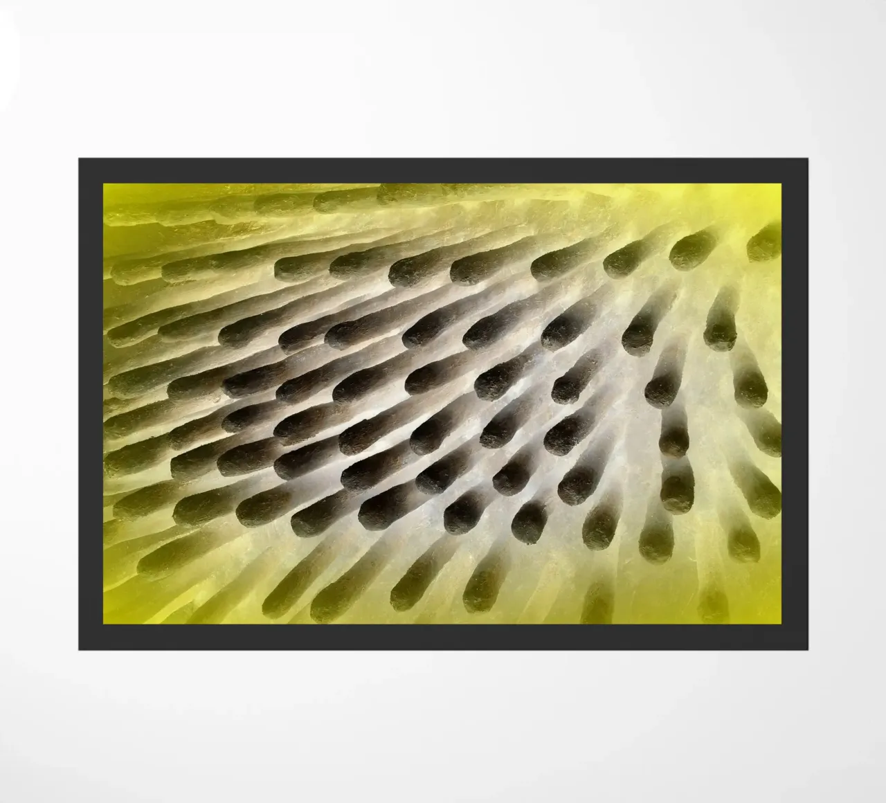 Nero e giallo zerbino da Massimo Frascogna