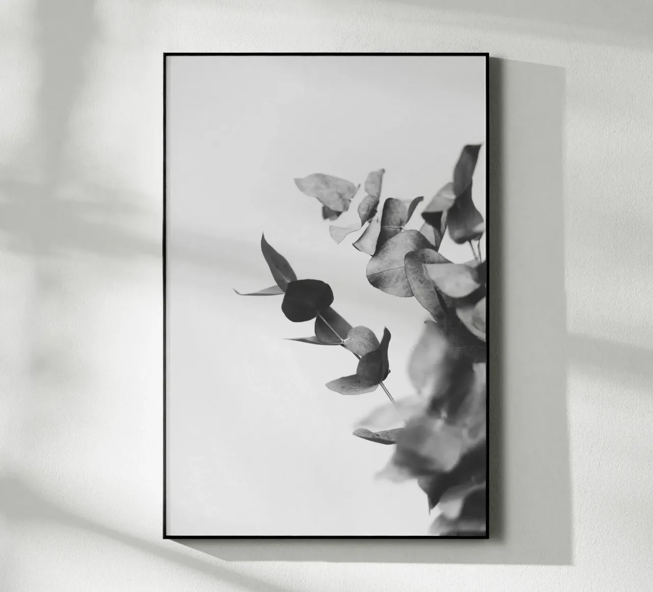 Eucalyptus Pt. VI plexiglass da selfieswithlove