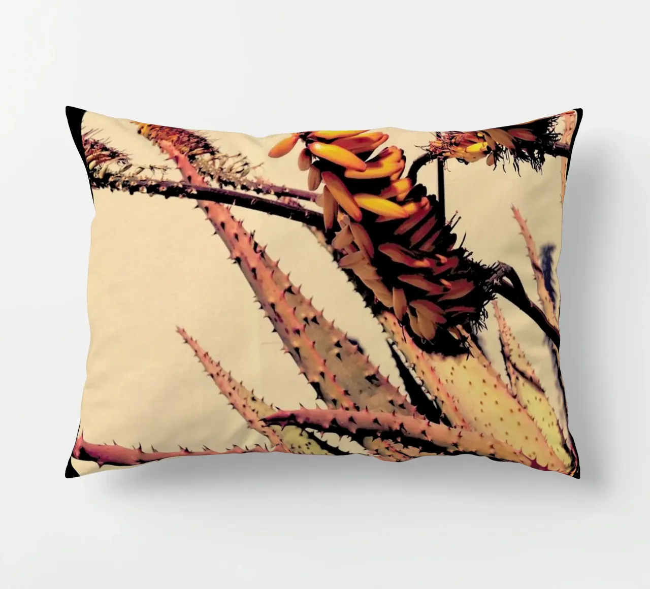 Homeland cuscino da Ballack Art House