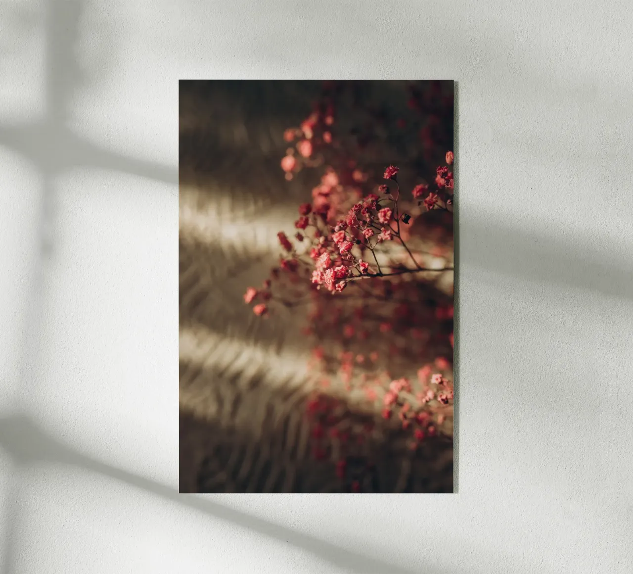 Aesthetic plexiglass da selfieswithlove