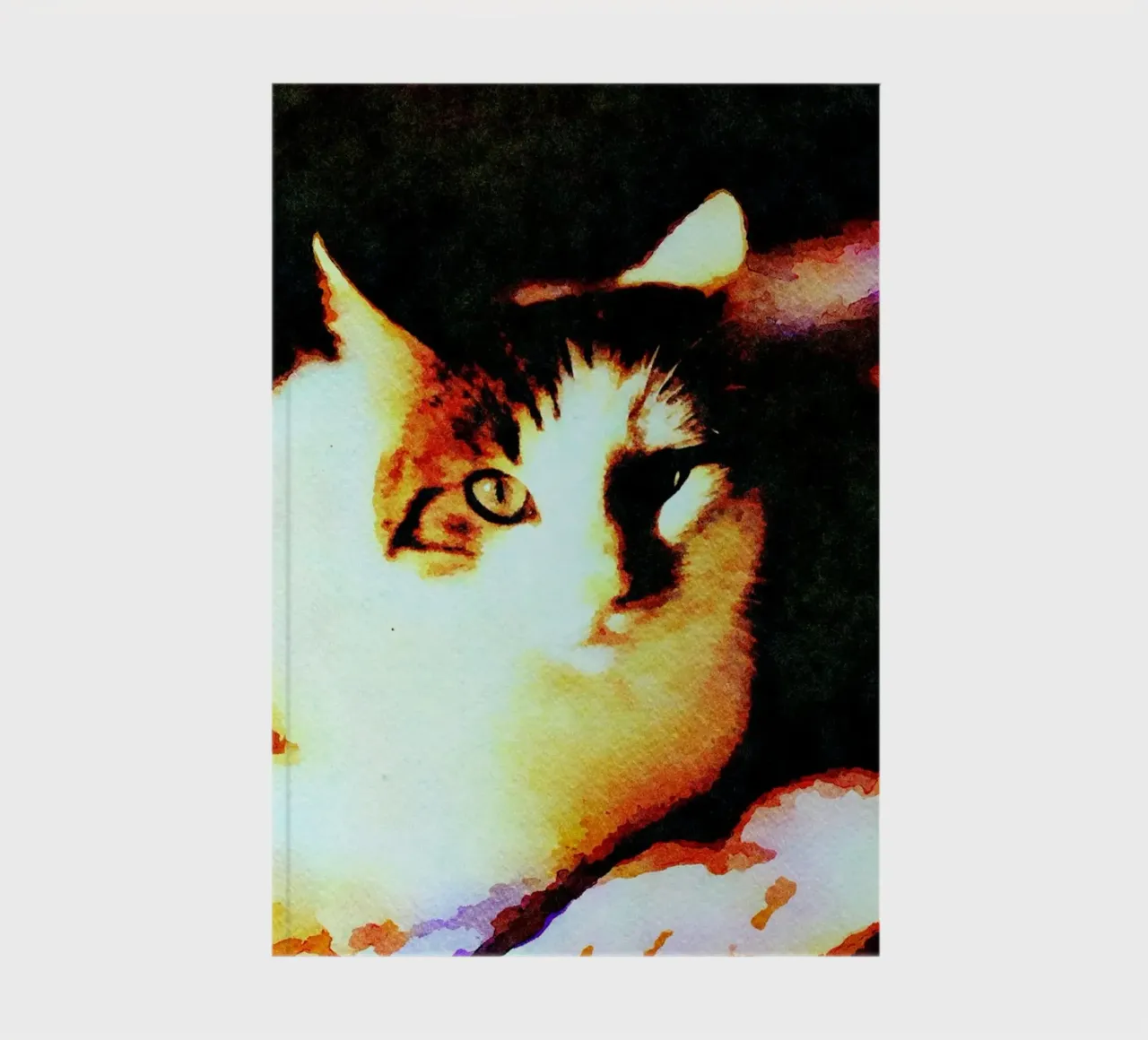 Cat relaxing notebook by Massimo Frascogna