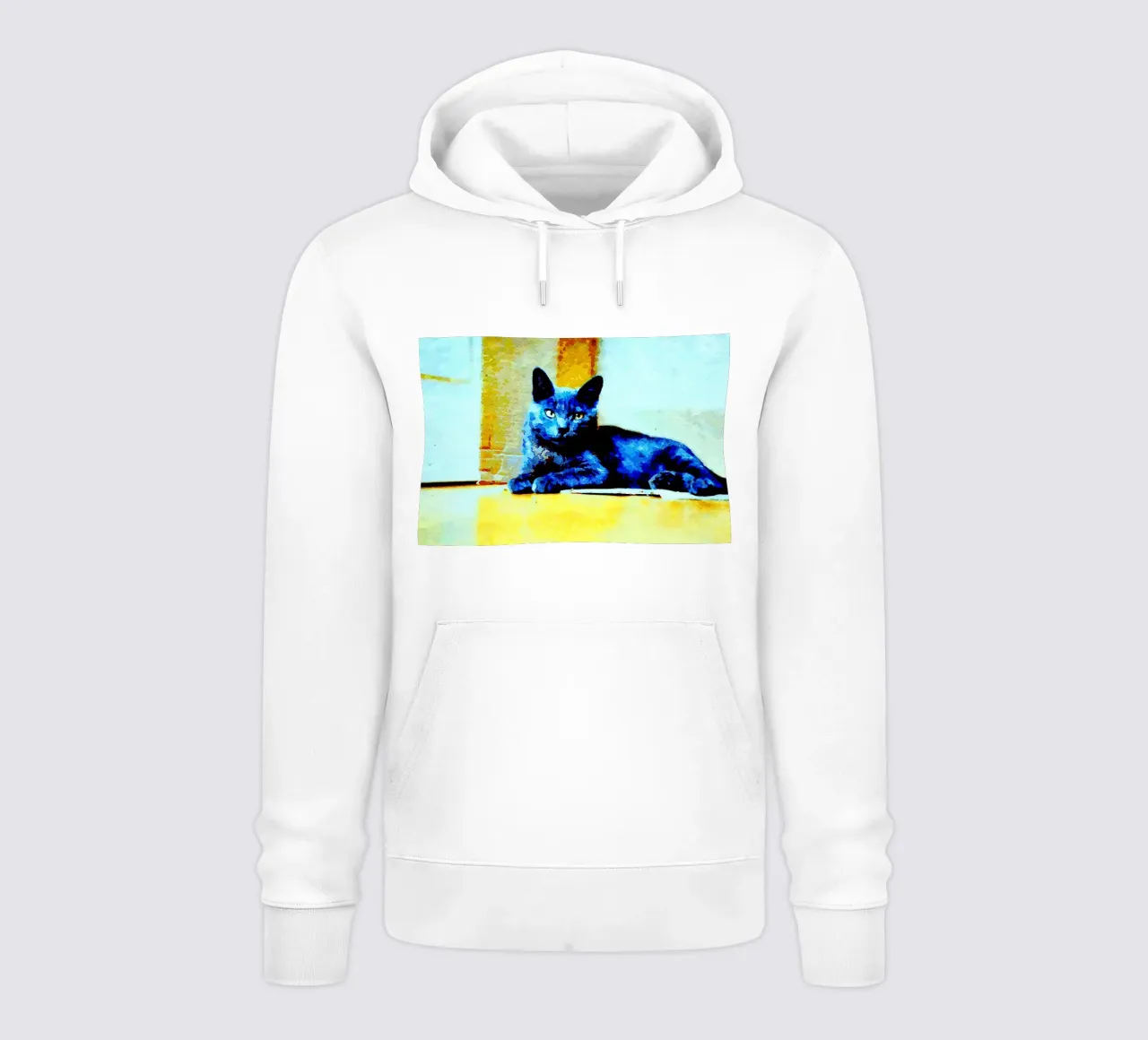 Gatto grigio felpa con cappuccio da Massimo Frascogna