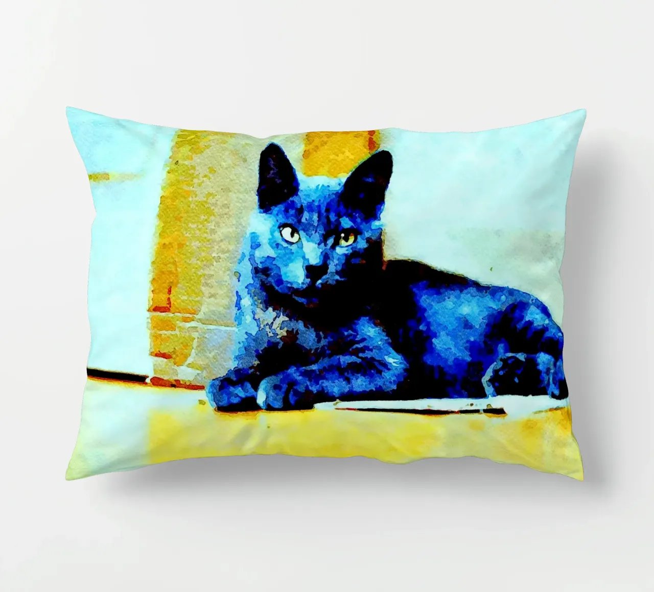 Gatto grigio cuscino da Massimo Frascogna