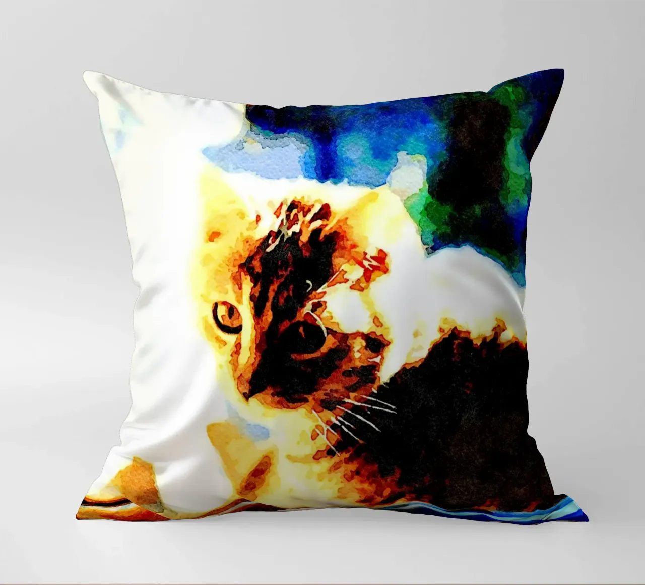 The cat on the window decorative cushion by Massimo Frascogna