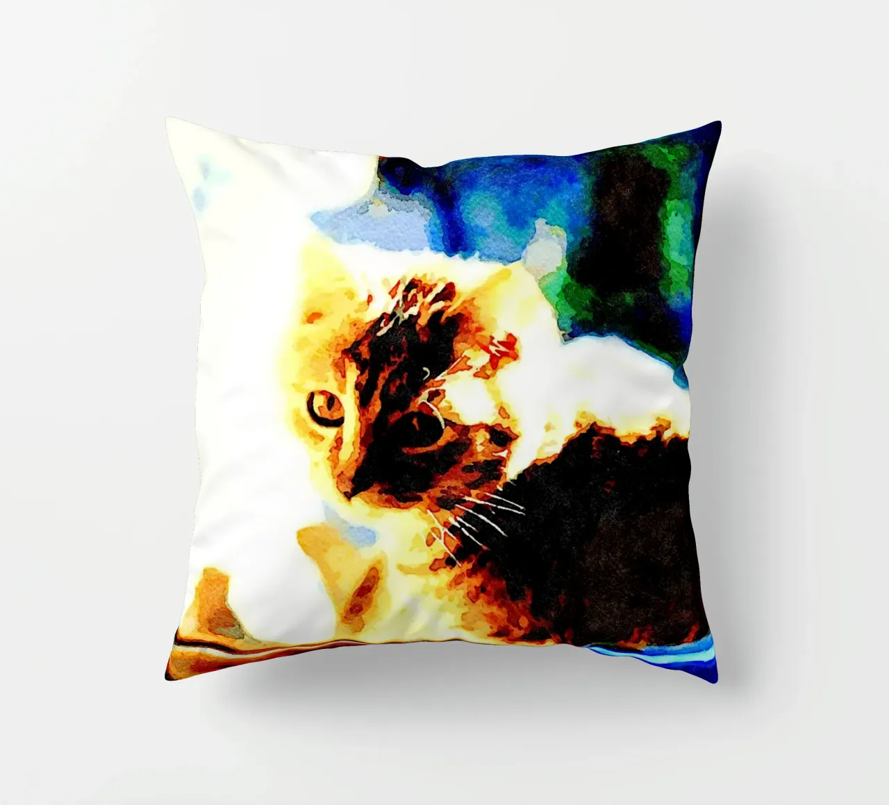 The cat on the window decorative cushion by Massimo Frascogna