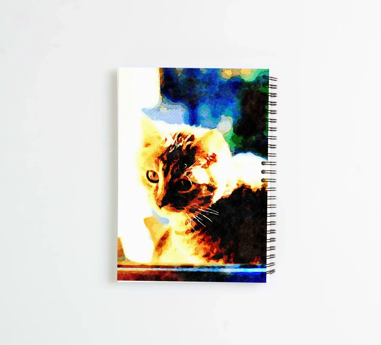 The cat on the window spiral notebook by Massimo Frascogna