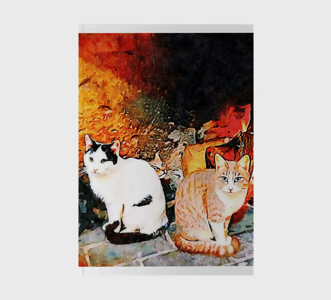 Hidden cat notebook by Massimo Frascogna