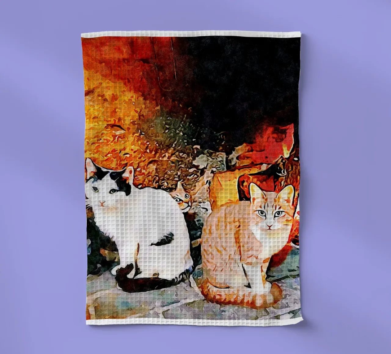 Chat caché torchon de Massimo Frascogna