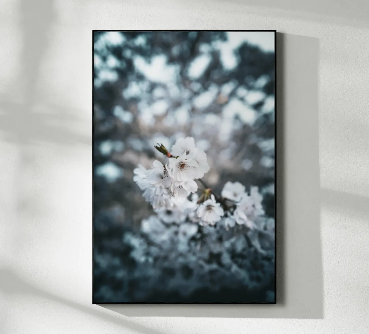 Kirschblüte acrylic glass by Flo Klein