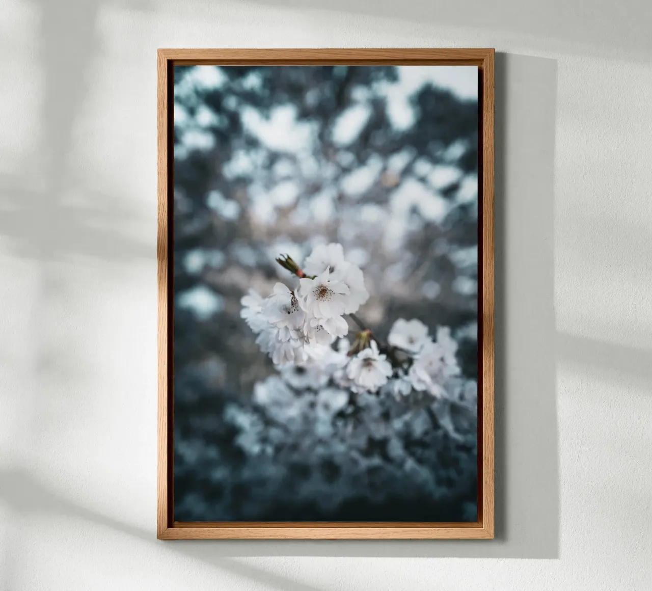Kirschblüte canvas by Flo Klein