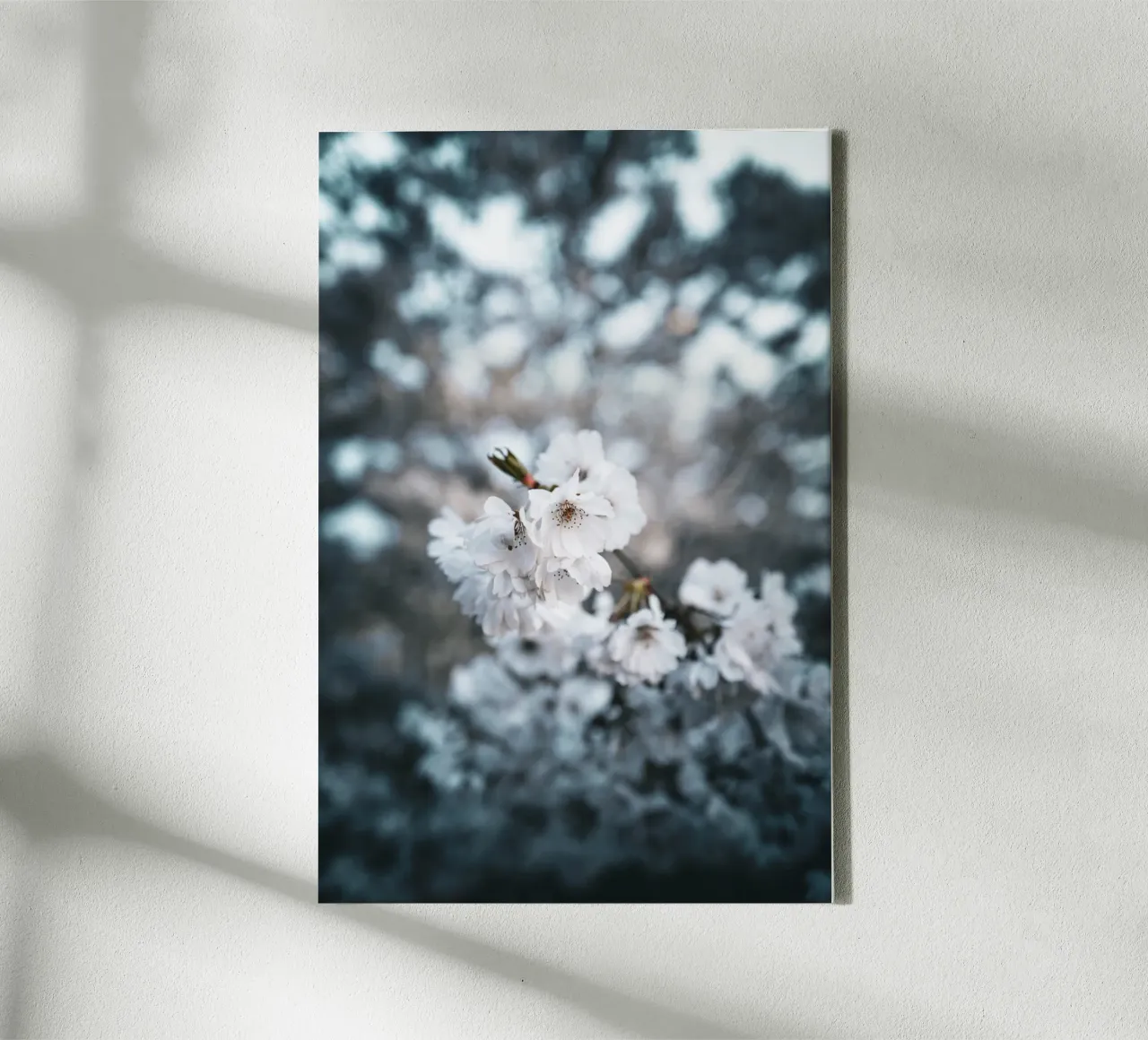 Kirschblüte canvas by Flo Klein