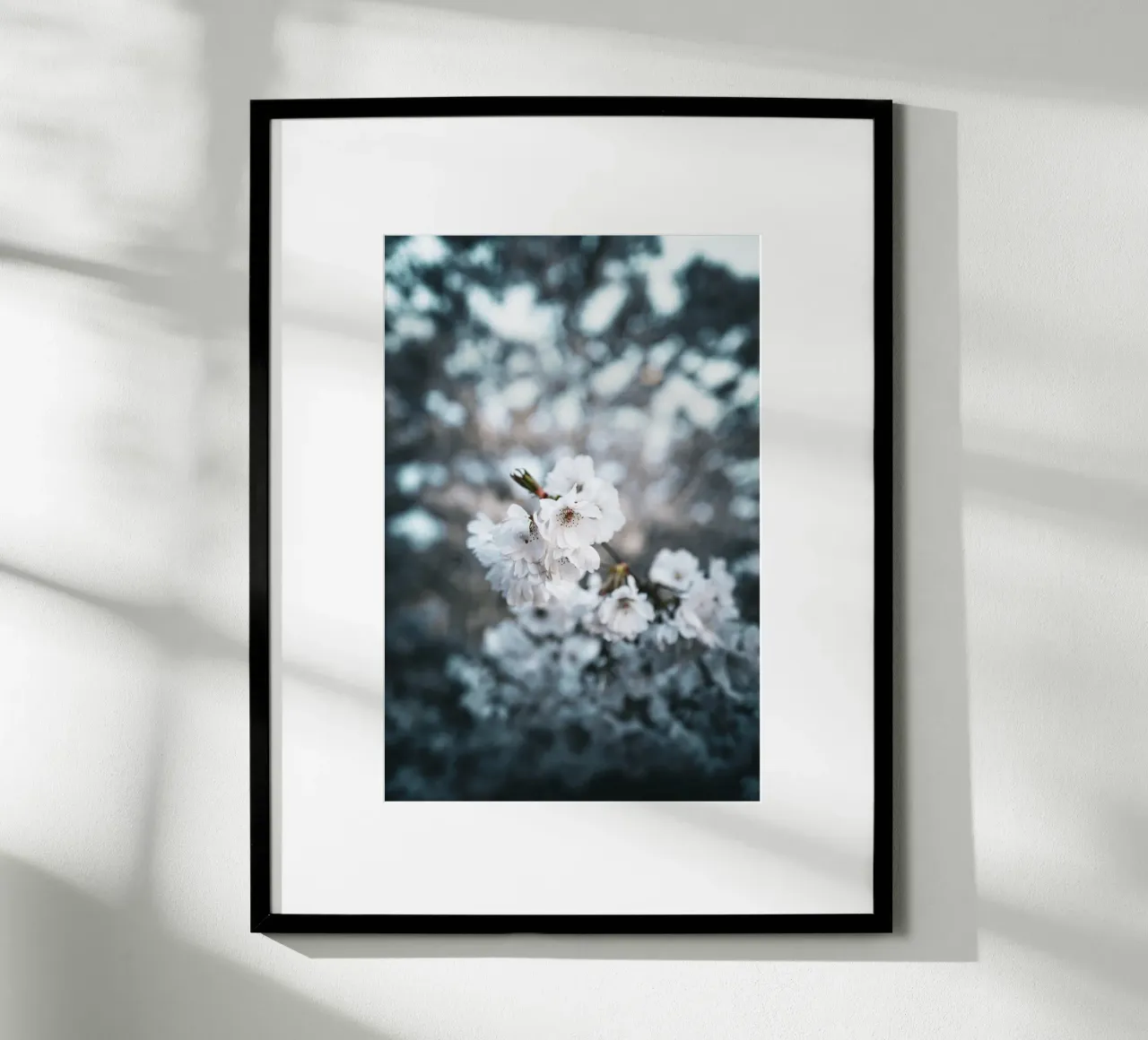 Kirschblüte poster by Flo Klein