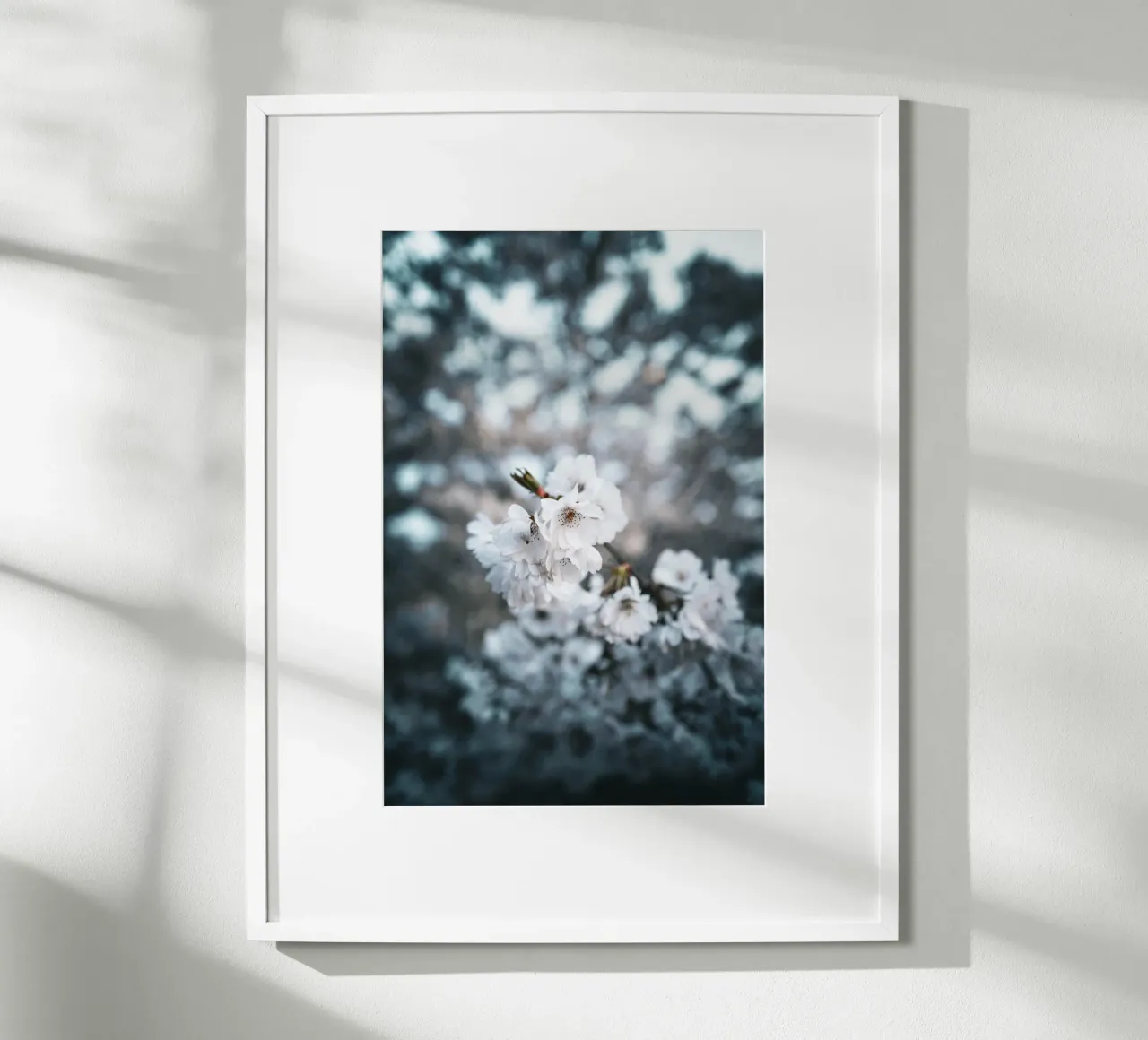 Kirschblüte poster by Flo Klein