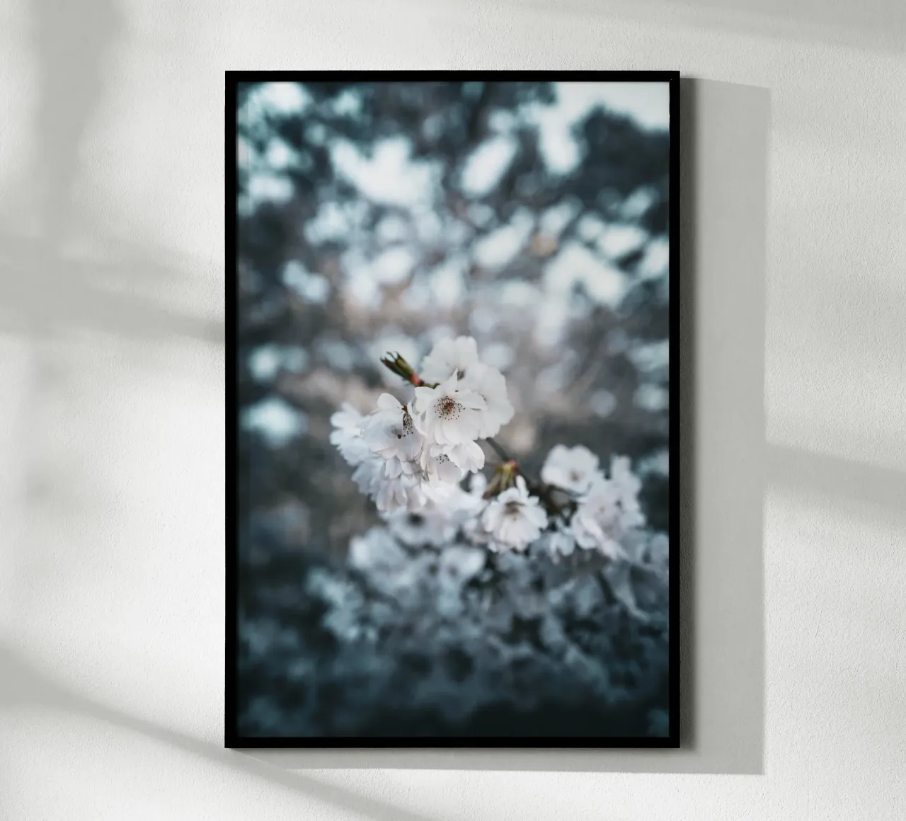 Kirschblüte poster by Flo Klein