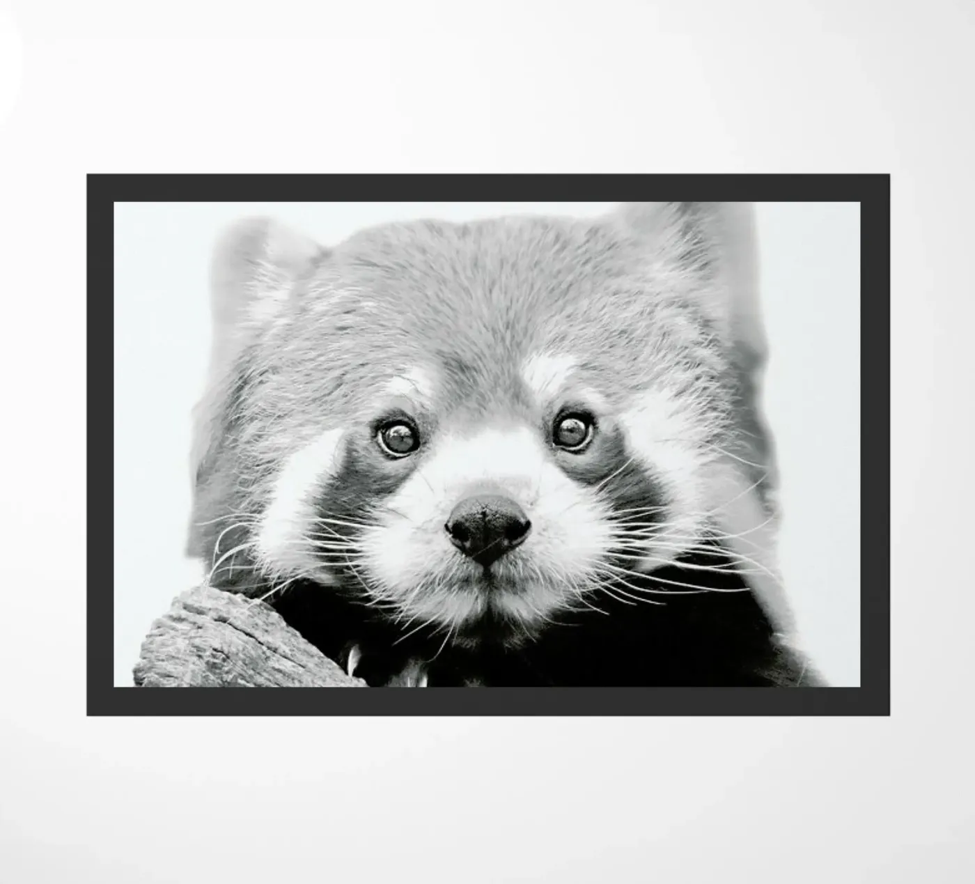 Roter Panda Fußmatte von Monika Strigel