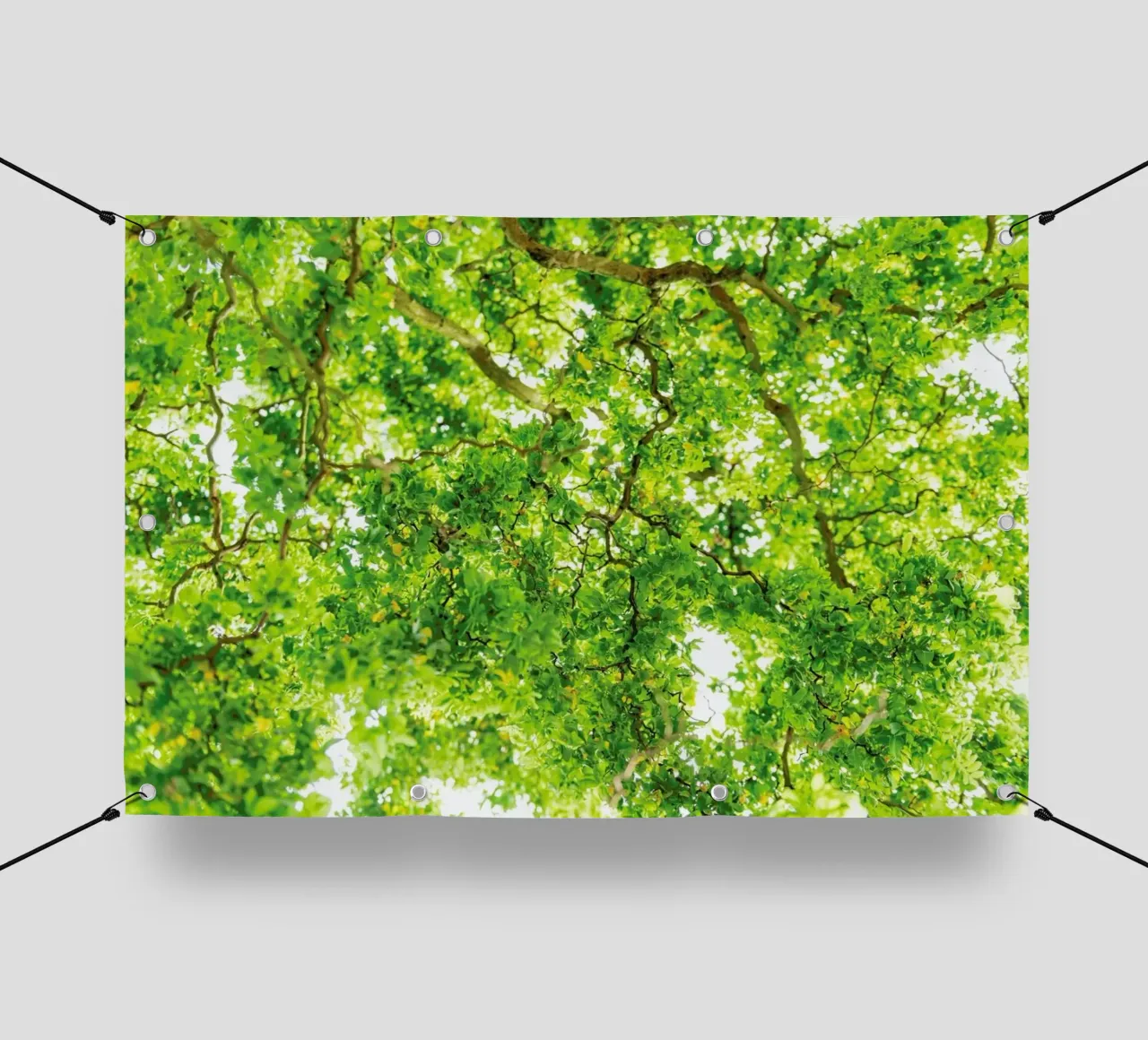 Hazel Tree telo in pvc da Curious Collections by Marielle Leenders