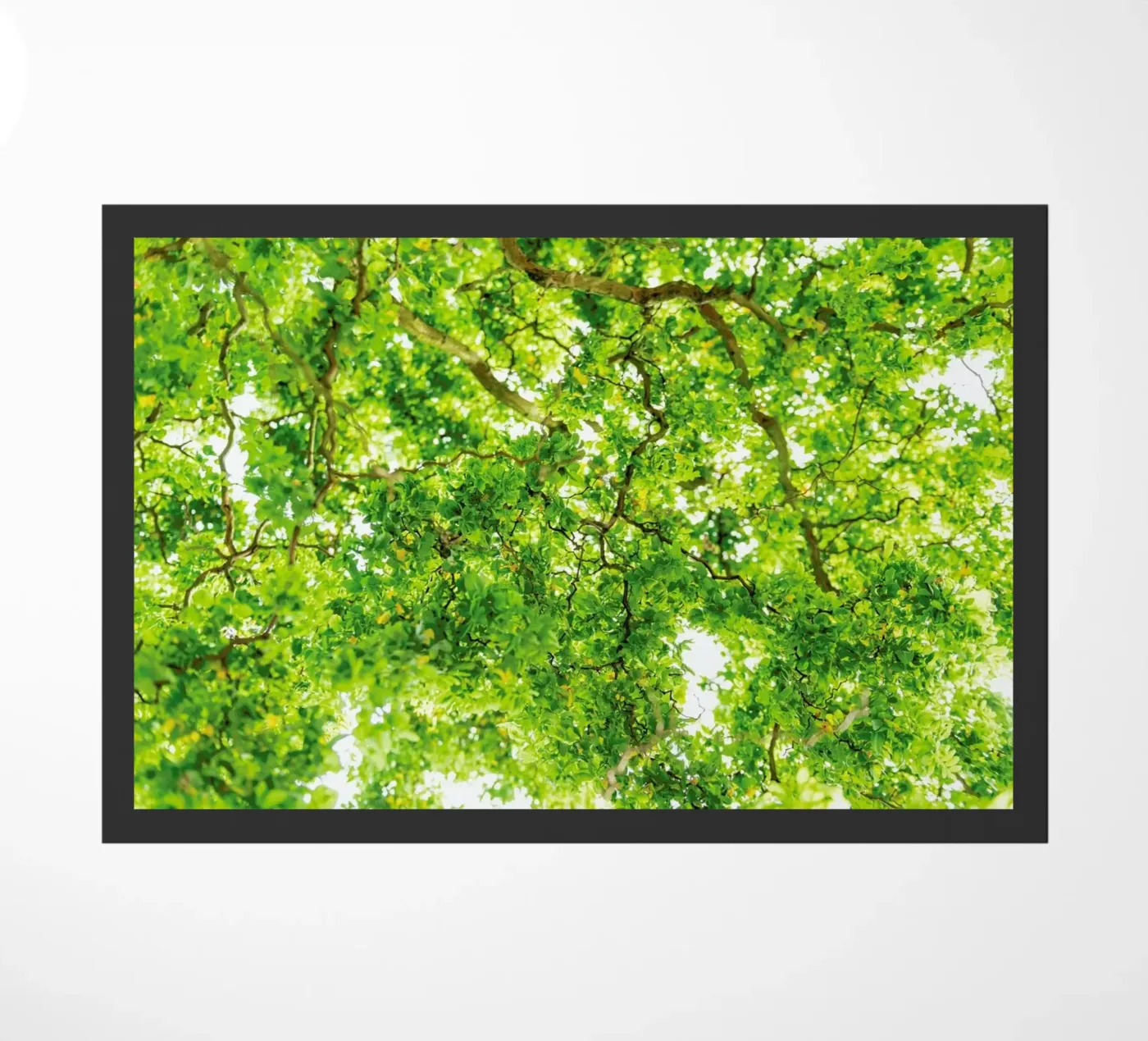 Hazel Tree doormat by Curious Collections by Marielle Leenders