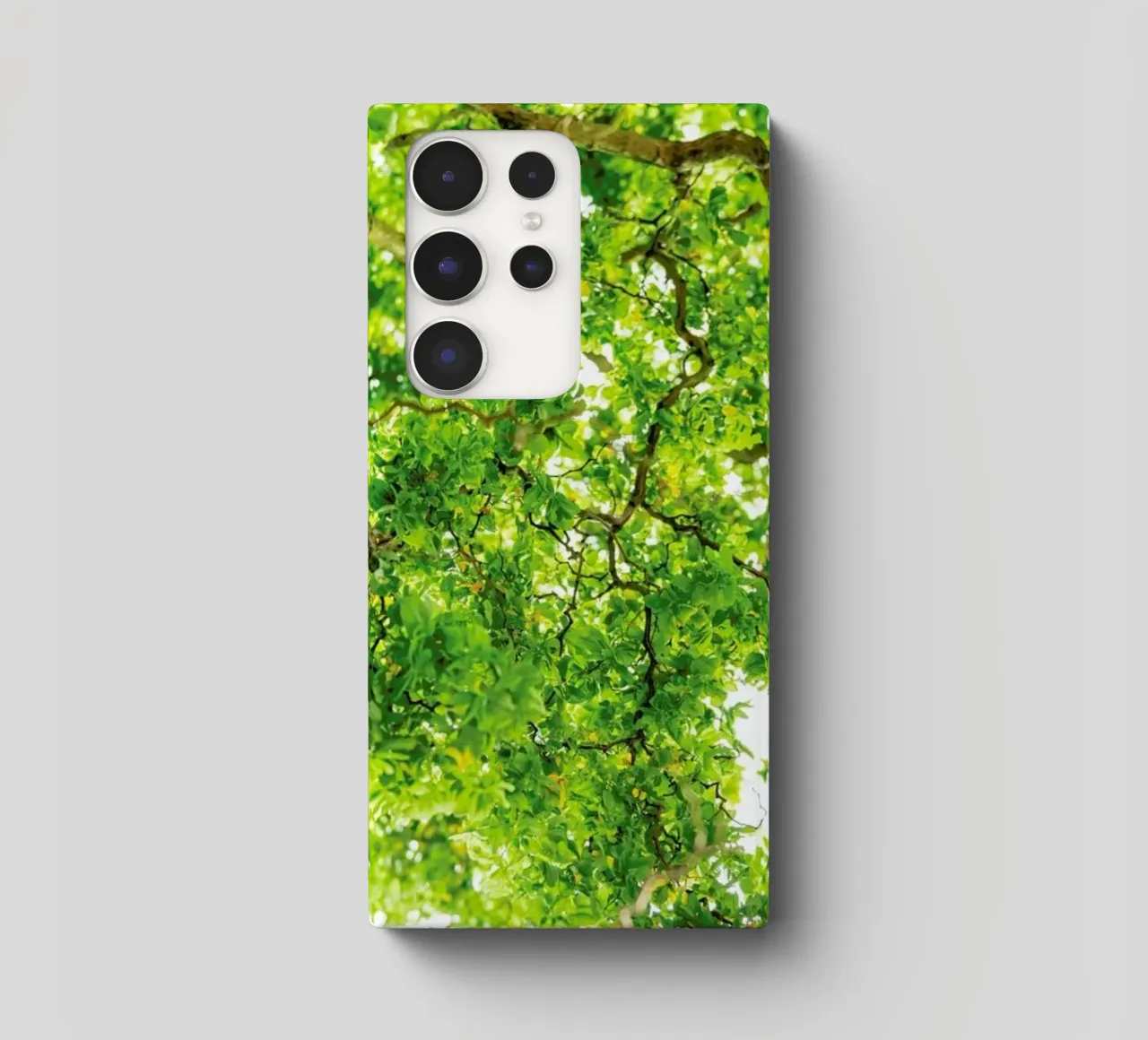 Hazel Tree Samsung Hülle von Curious Collections by Marielle Leenders