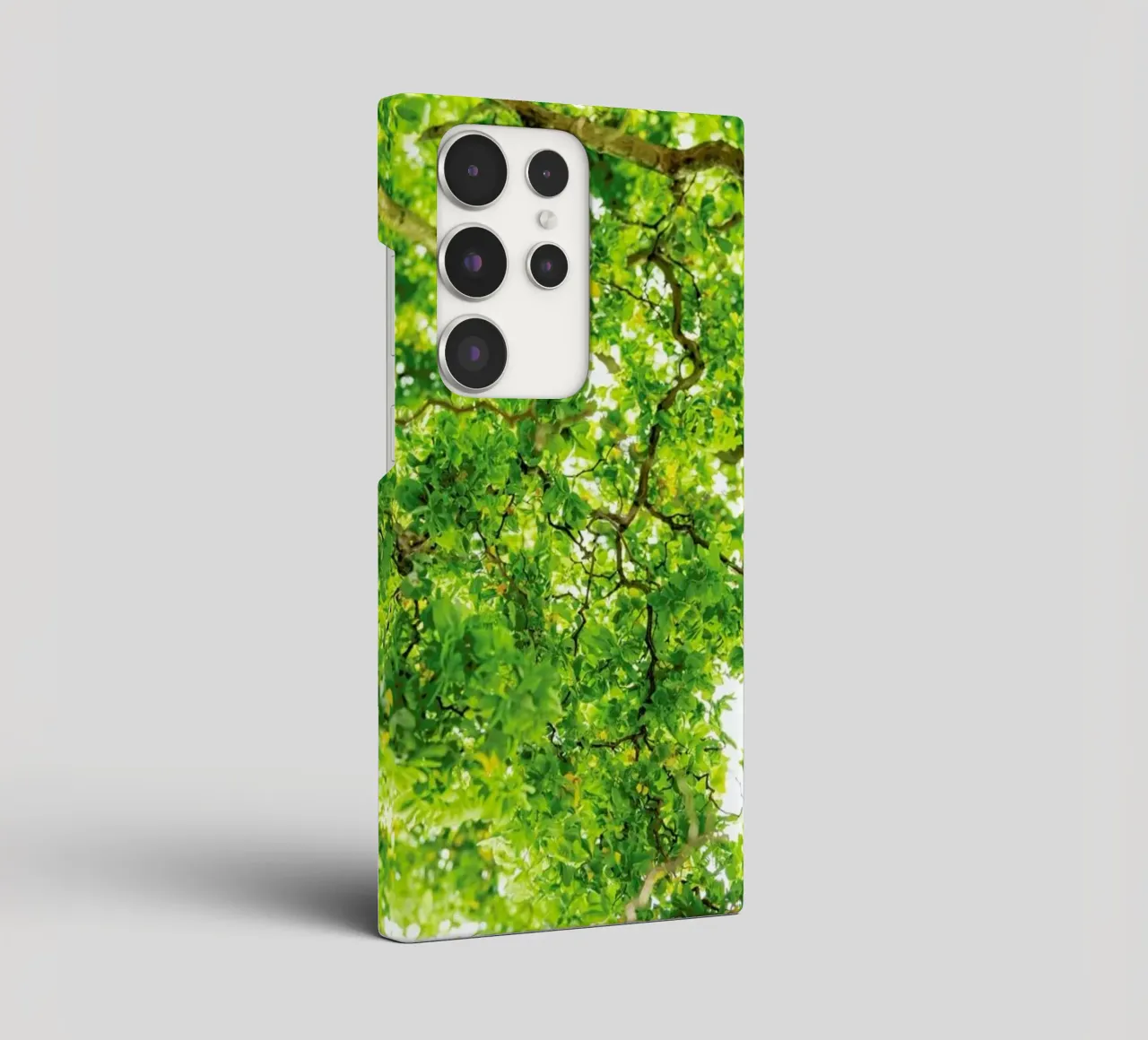 Hazel Tree Samsung Hülle von Curious Collections by Marielle Leenders