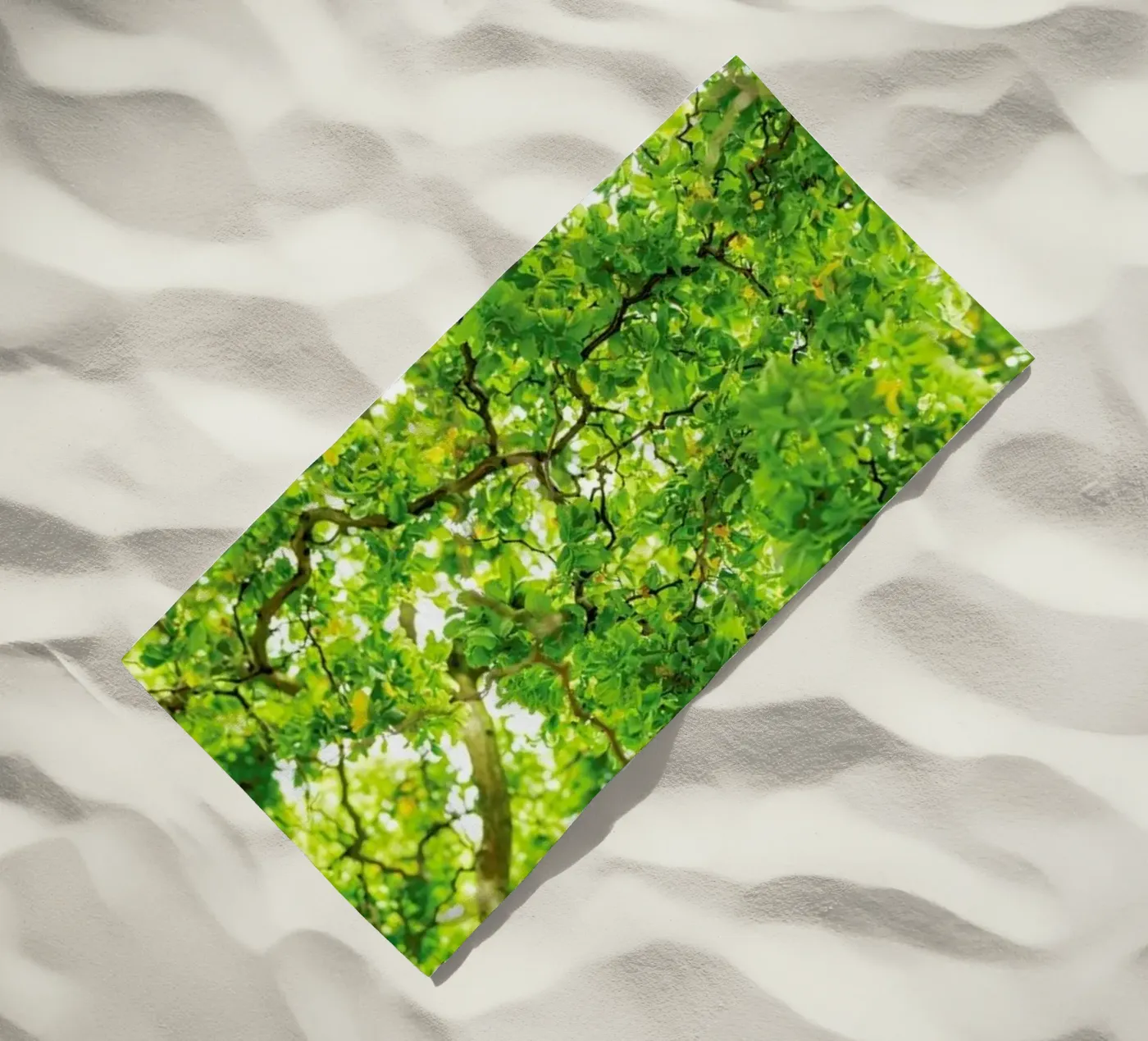 Hazel Tree telo mare da Curious Collections by Marielle Leenders