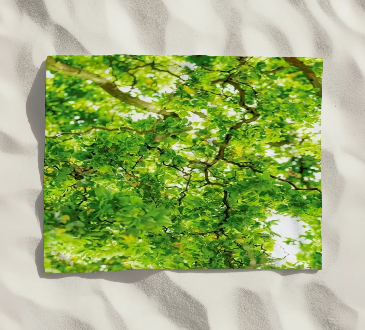 Hazel Tree telo mare da Curious Collections by Marielle Leenders