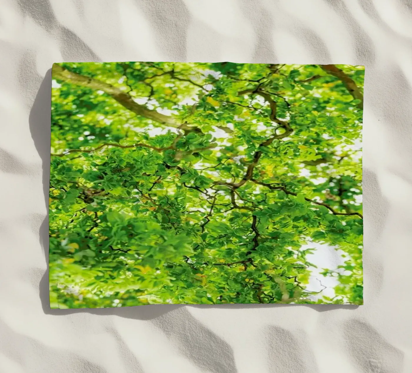 Hazel Tree telo mare da Curious Collections by Marielle Leenders