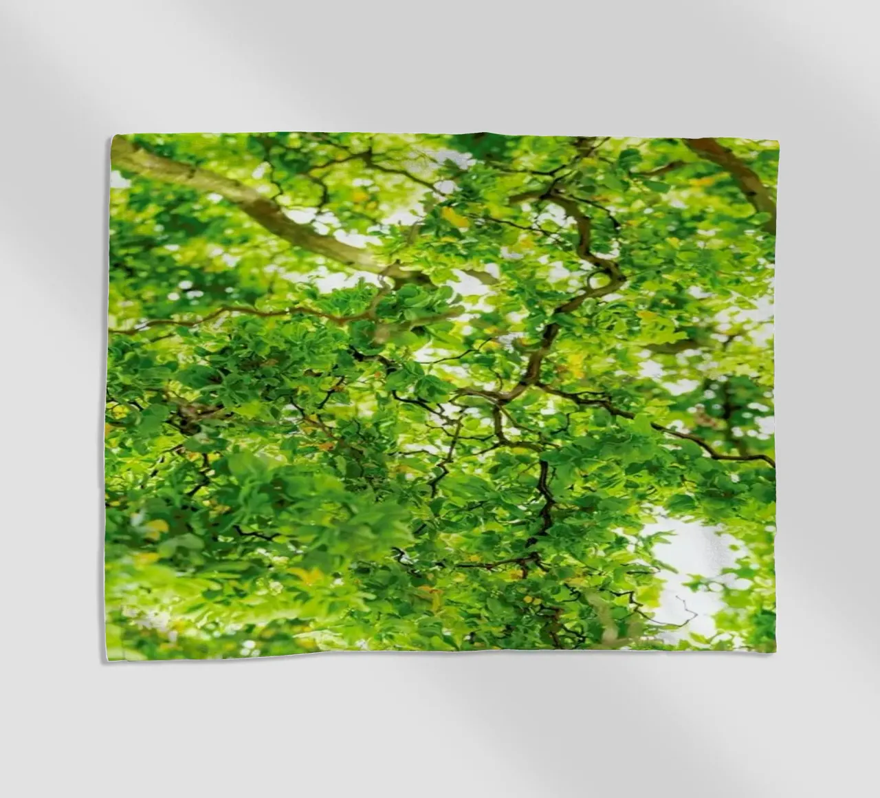 Hazel Tree telo mare da Curious Collections by Marielle Leenders