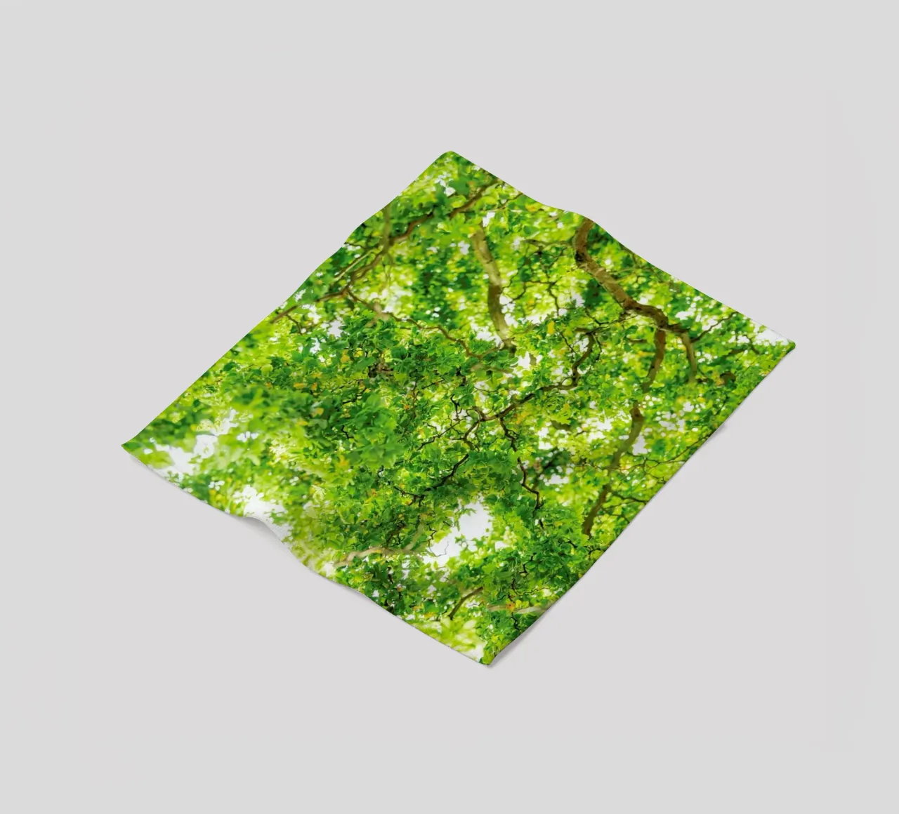 Hazel Tree coperta in pile da Curious Collections by Marielle Leenders