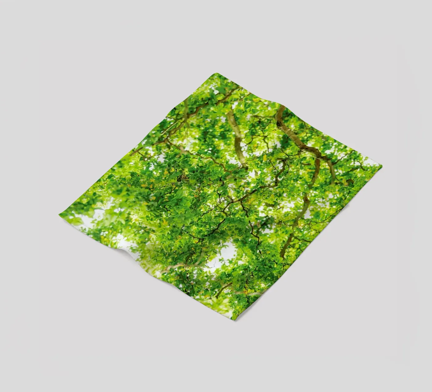 Hazel Tree Fleecedecke von Curious Collections by Marielle Leenders