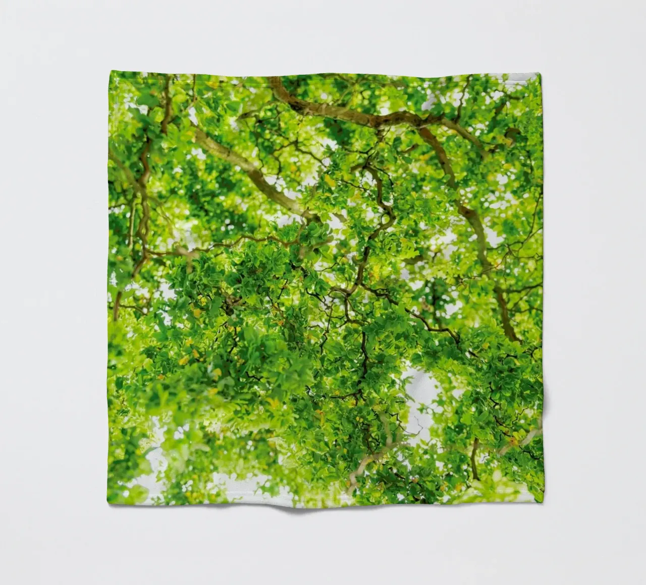 Hazel Tree coperta in pile da Curious Collections by Marielle Leenders