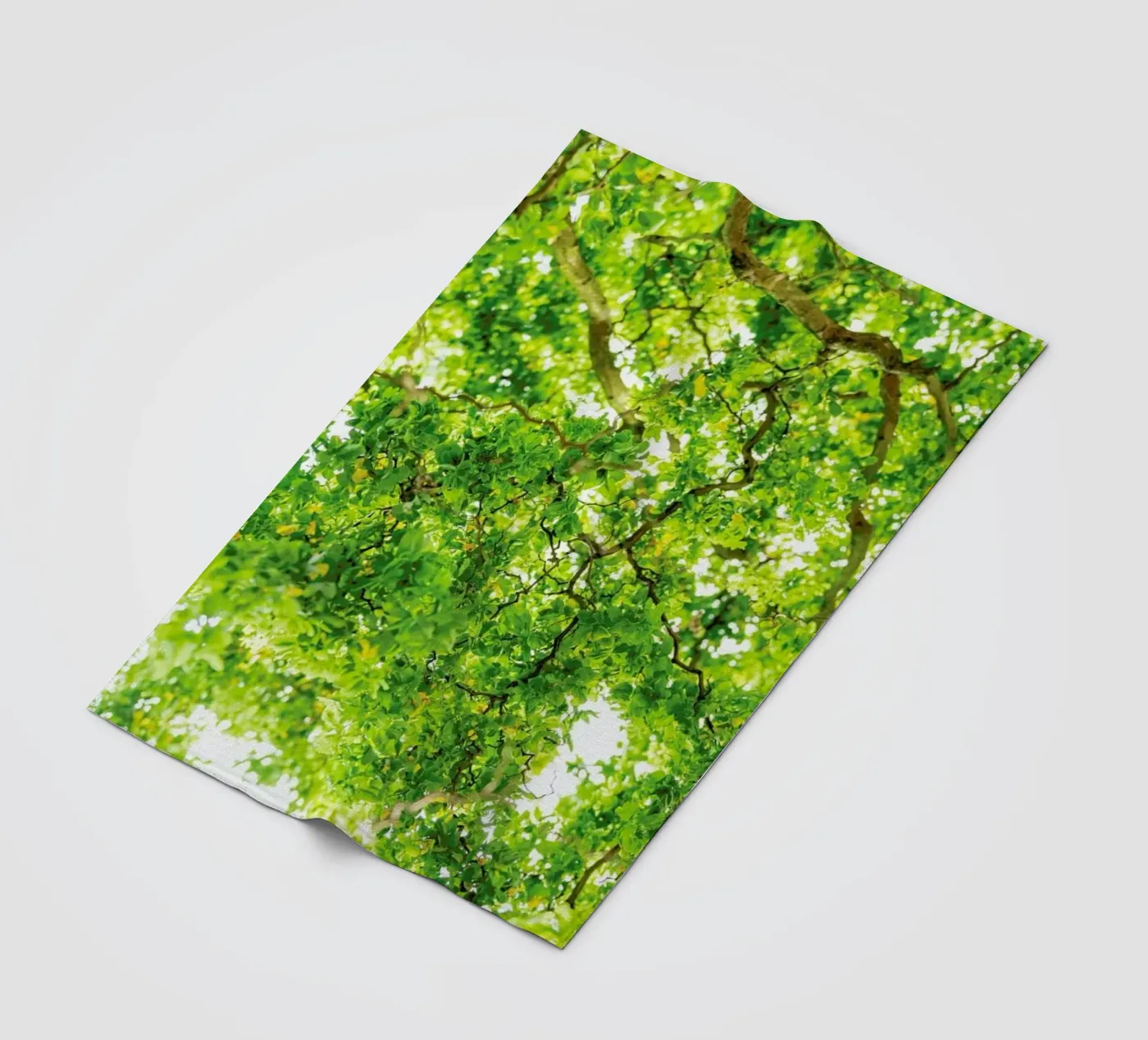 Hazel Tree fleecedeken van Curious Collections by Marielle Leenders