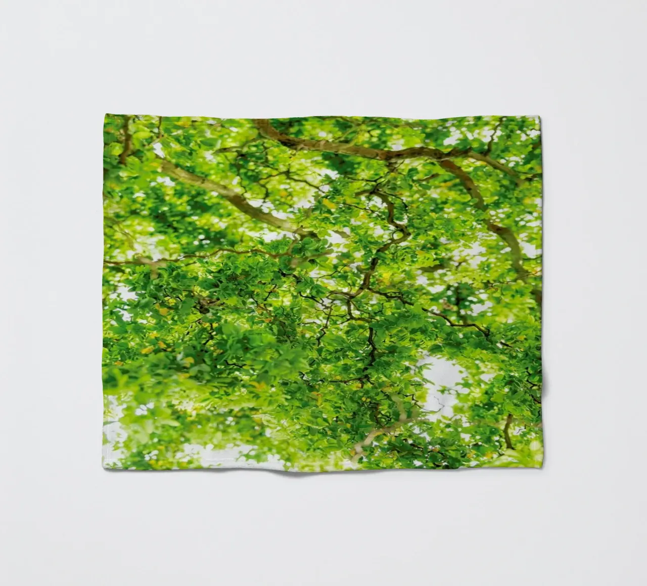 Hazel Tree coperta in pile da Curious Collections by Marielle Leenders