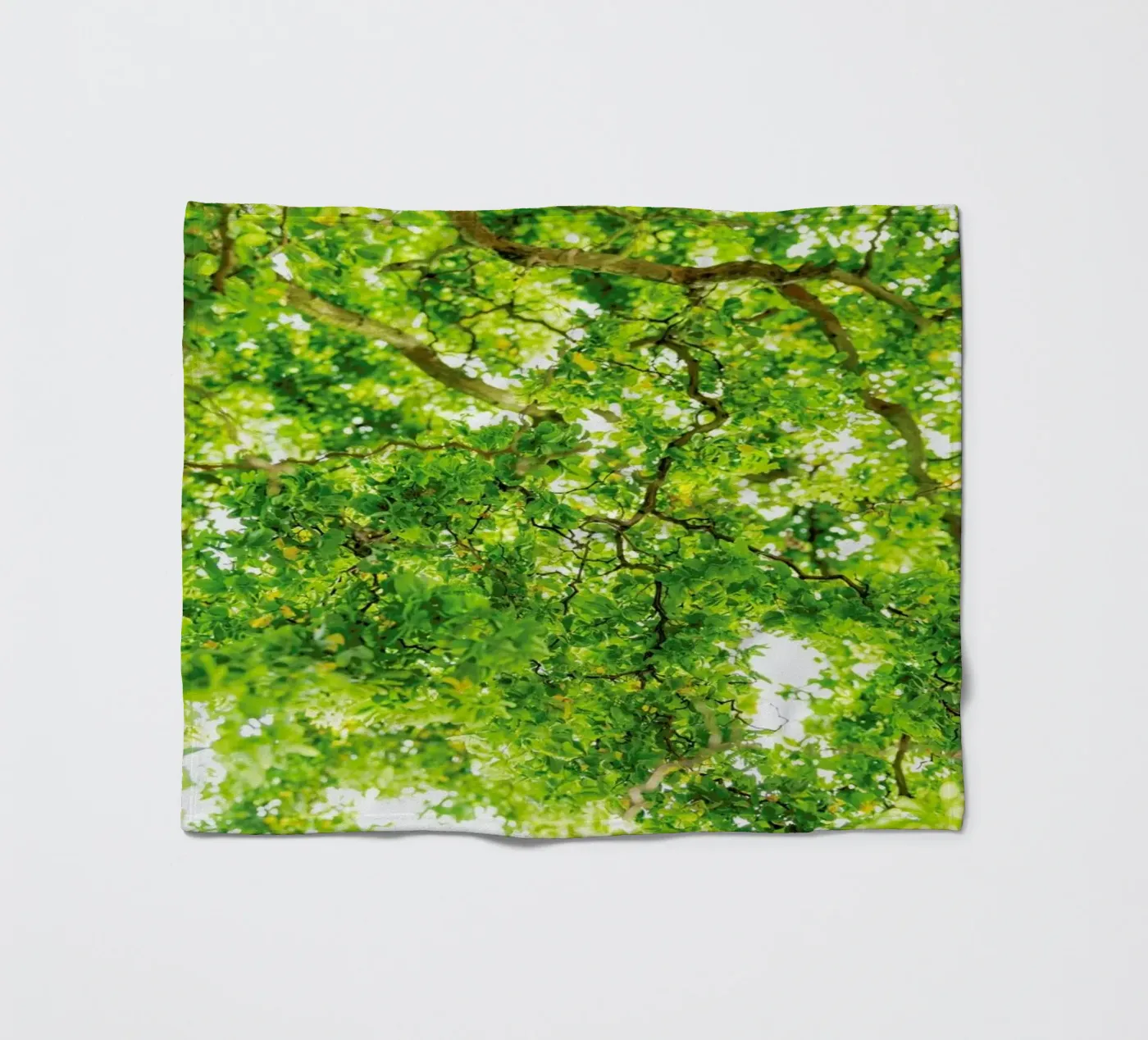 Hazel Tree Fleecedecke von Curious Collections by Marielle Leenders