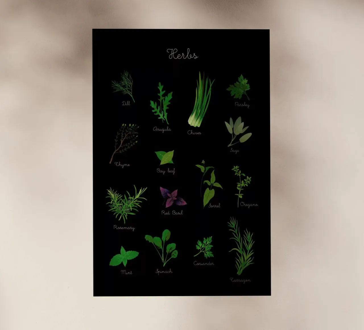 Herbs pellicola backlit da Lesja Chernish