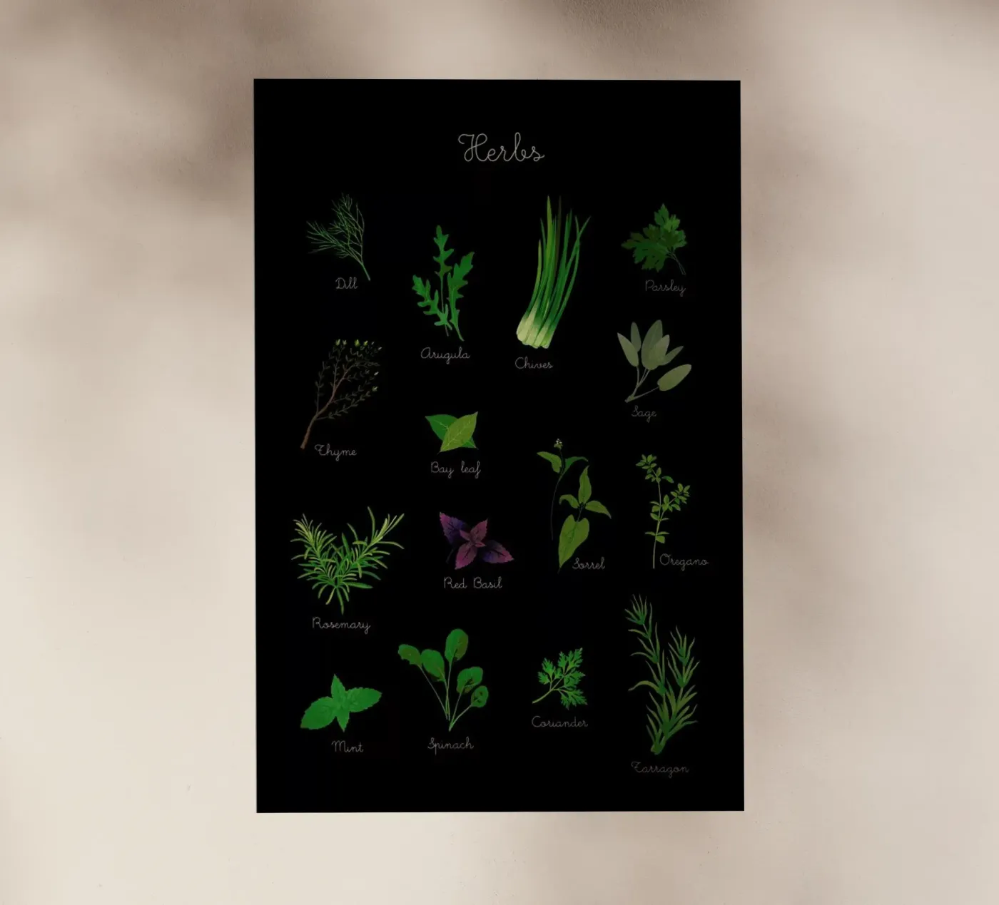 Herbs pellicola backlit da Lesja Chernish