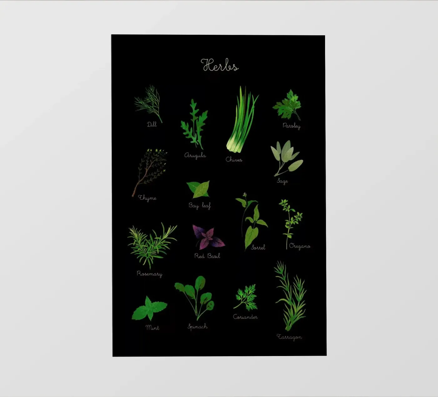 Herbs pellicola backlit da Lesja Chernish