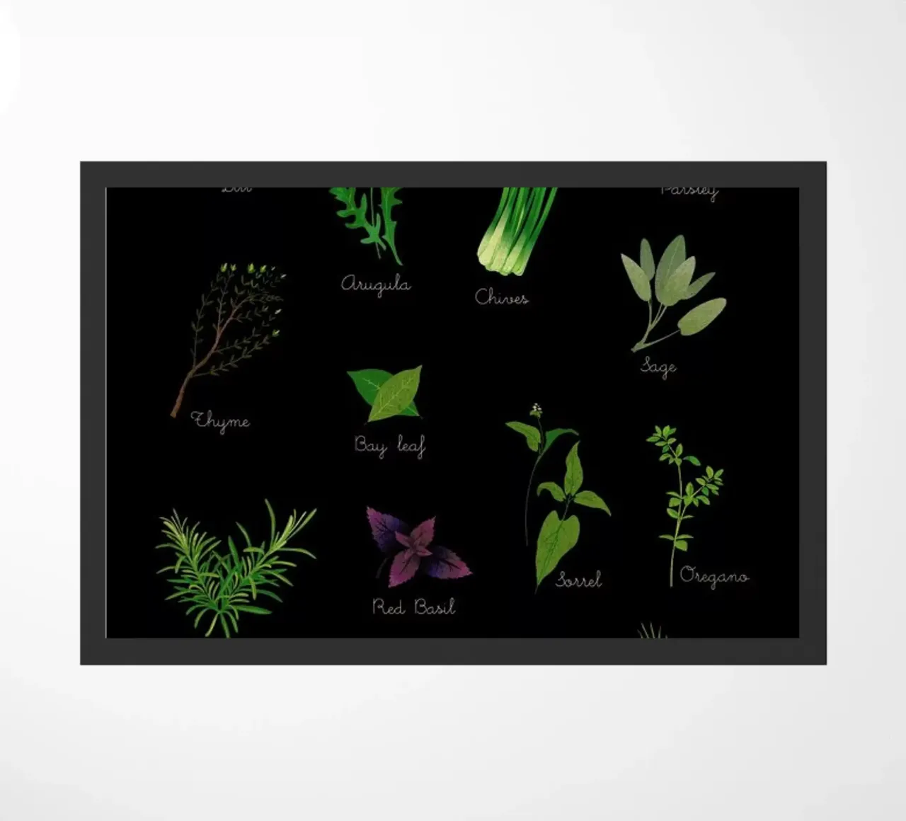 Herbs zerbino da Lesja Chernish