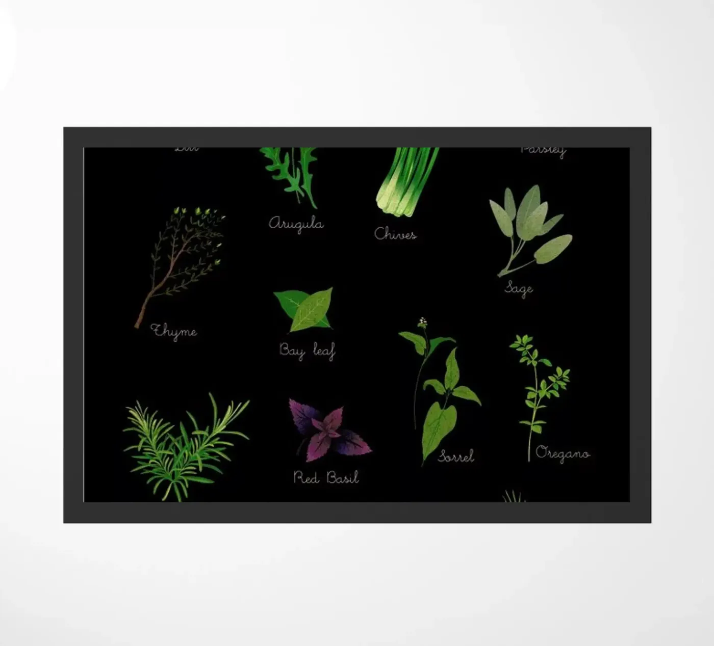Herbs zerbino da Lesja Chernish