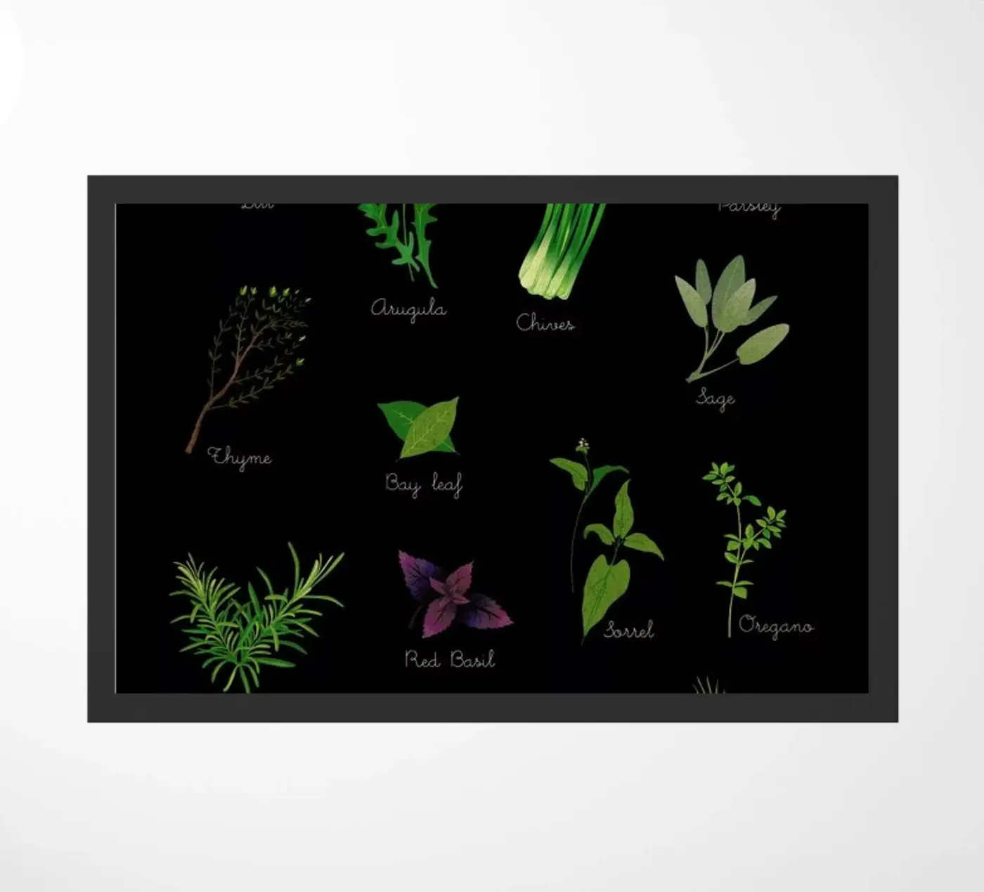 Herbs zerbino da Lesja Chernish