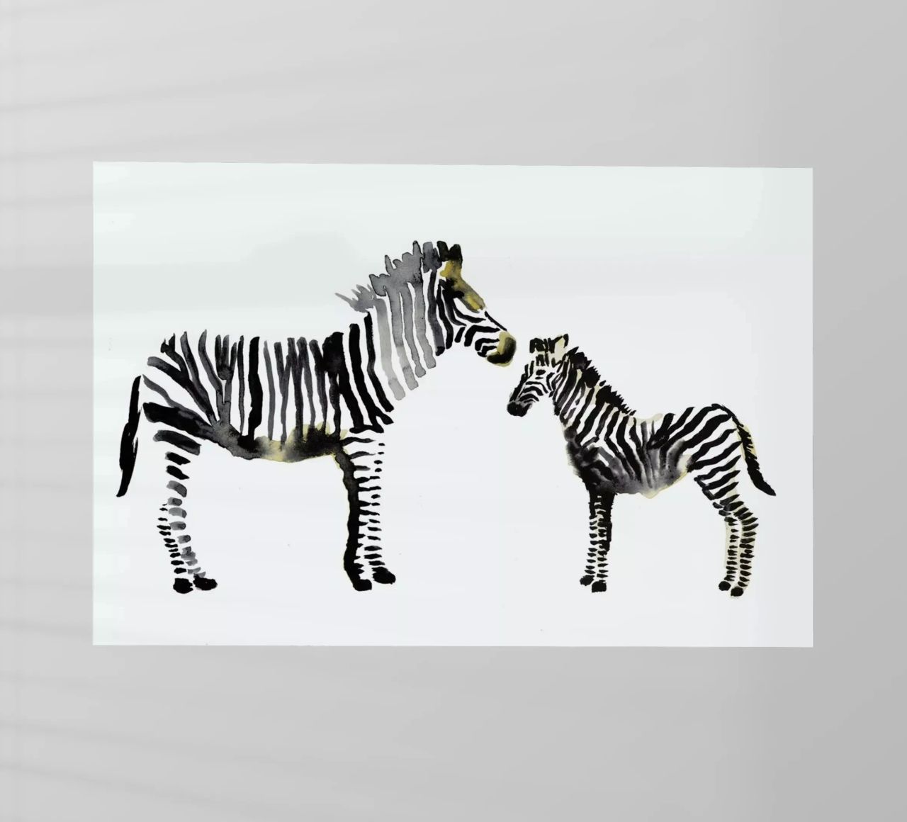 Zebra pellicola backlit da Farina Kuklinski