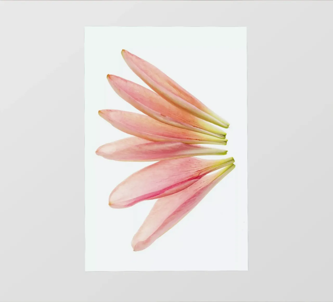 Lillyleaves telo in pvc da Curious Collections by Marielle Leenders